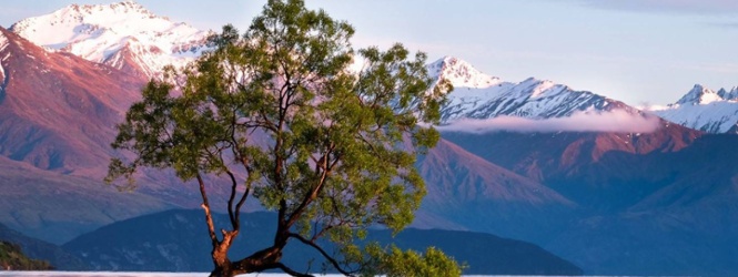 Aotearoa